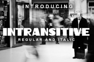 Intransitive: A Timeless Font for Modern Design
